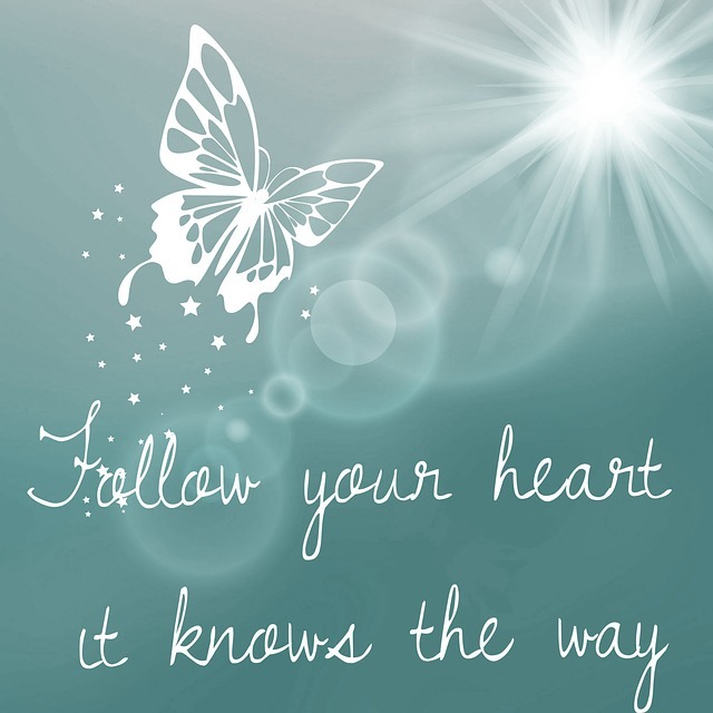 follow-your-heart-881084_640.jpg