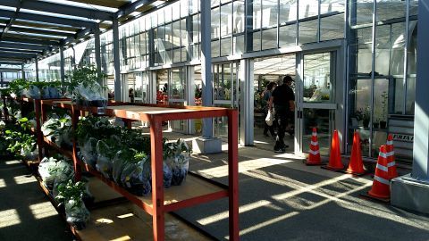次は農産物直売所の隣にある、鉢植え売り場の温室へ。