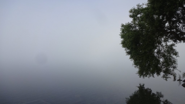 霧の田沢湖