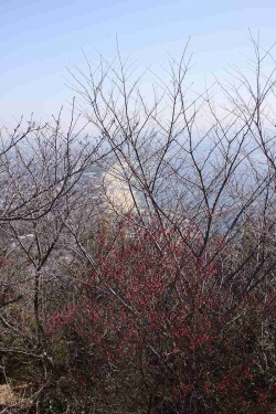 須磨浦山上遊園からの景色