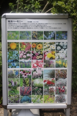 和洋ハーモニー　花の庭園2022春