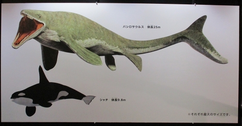 バシロサウルス