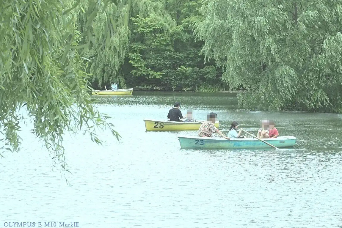 菖蒲池のボート
