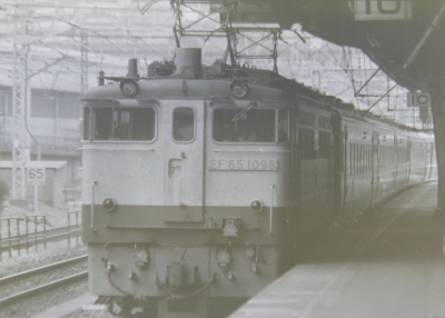 2902-shinagawa (5)