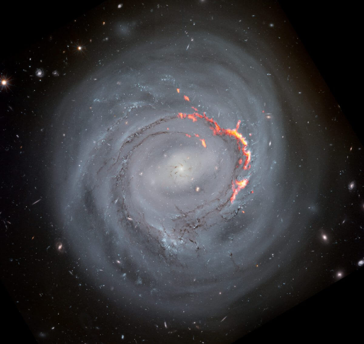 NGC4921の画像