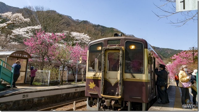 わたらせ渓谷鐵道神戸駅で花桃と桜とわ鉄