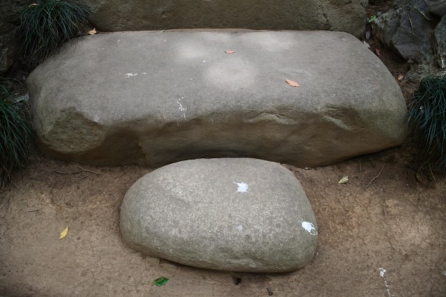氷川女体神社　謎の石