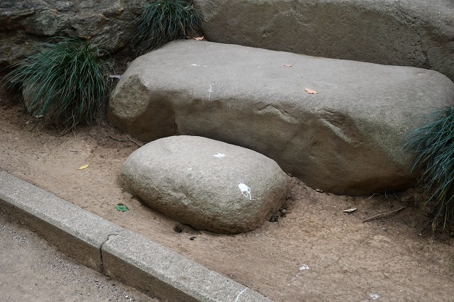 氷川女体神社　謎の石