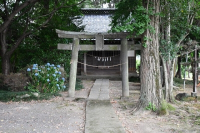 吉見町本沢115　熊野神社　2022-07-12