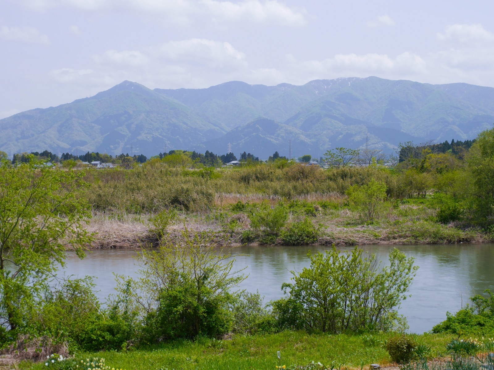 g6P1300820.jpg