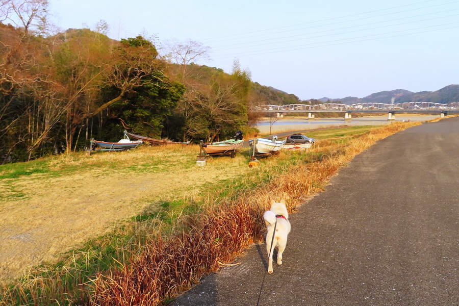 ⓸22-03-14波川公園JPG