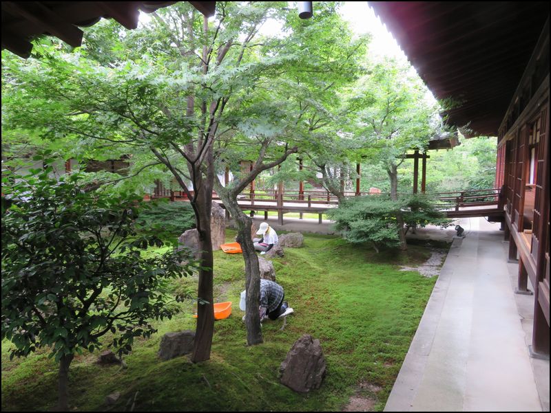 建仁寺/夏の京都で好きな場所＠京都市/東山区