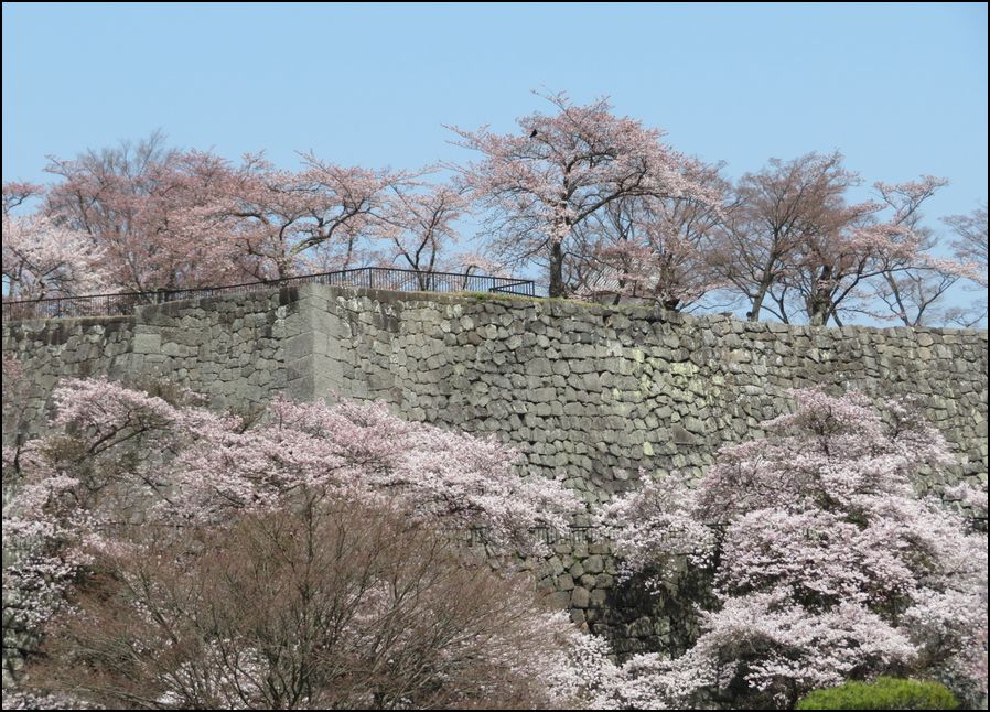 白河 小峰城/蘇った石垣と櫓が美しい＠福島県/白河市