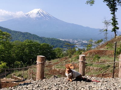 富士山遥拝所