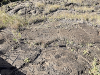 ハワイ原住民が溶岩に刻んだペトログリフ（岩石線画=2