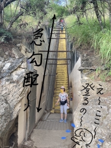 この急な階段を上るの？ と絶句しているところ。