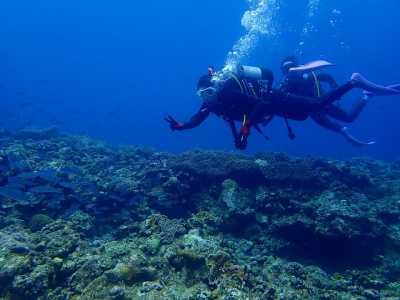 P9040056 (2)